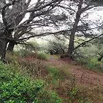 Sant Jordi Pensión 2*