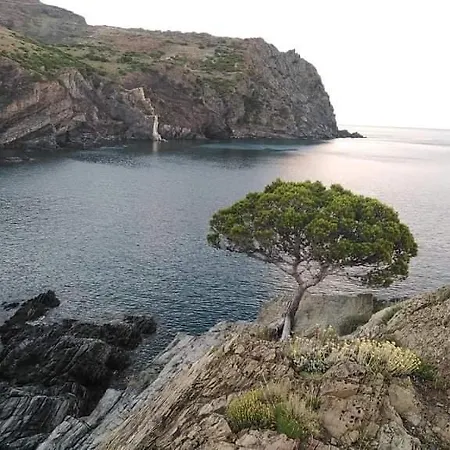 Camino Santiago Sant Jordi بيت ضيافة