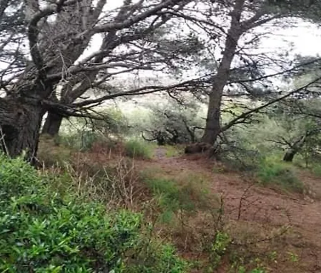 Sant Jordi Affittacamere 2*