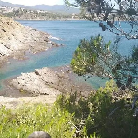 Sant Jordi 招待所 滨海托萨