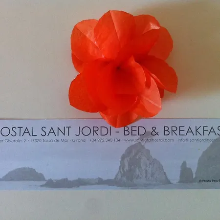 招待所 Sant Jordi