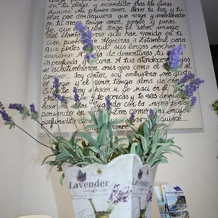 Guest house Sant Jordi 2*