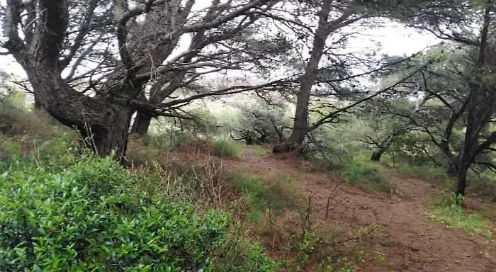 Sant Jordi Гостевой дом 2*