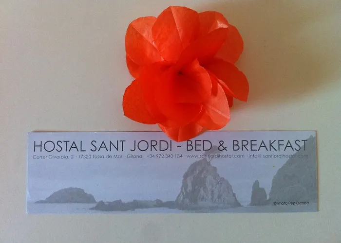 Гостевой дом Sant Jordi